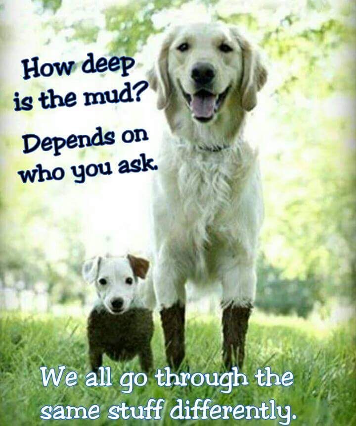 picture of two dogs, a large dog and a small dog standing outside with mud on their legs. the small dog has mud to his torso and the large dog has mud to his mid legs. there is writing on the photo saying "How deep is the mud? Depends on who you ask."